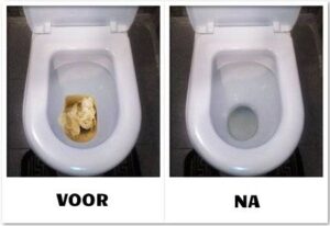 toilette